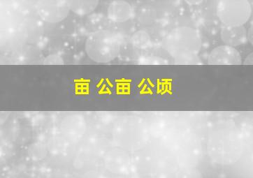 亩 公亩 公顷